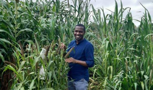 Visite d’un champ de Mil © Boubacar Amadou Kountché, Cirad